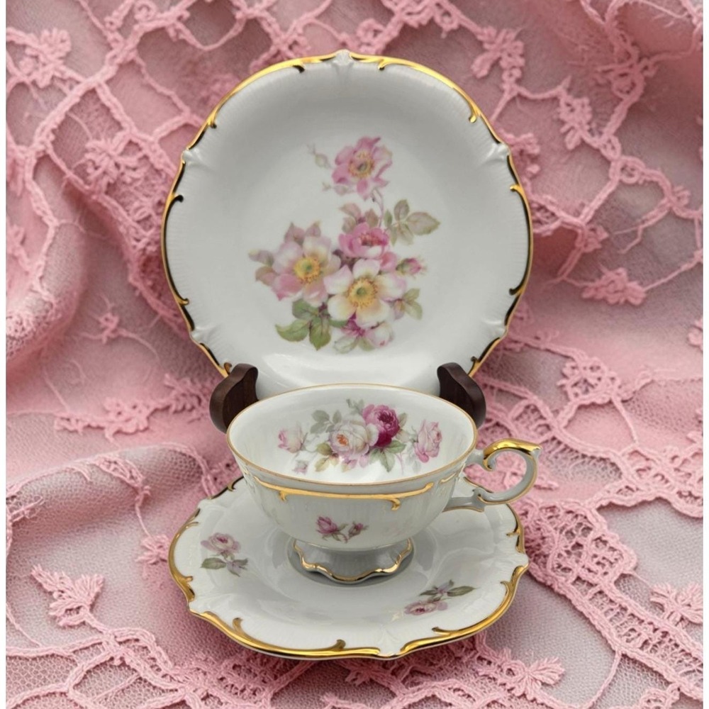 Vintage Bavaria Schumann Arzberg Wild Rose Dessert Plate, Teacup & Saucer Set